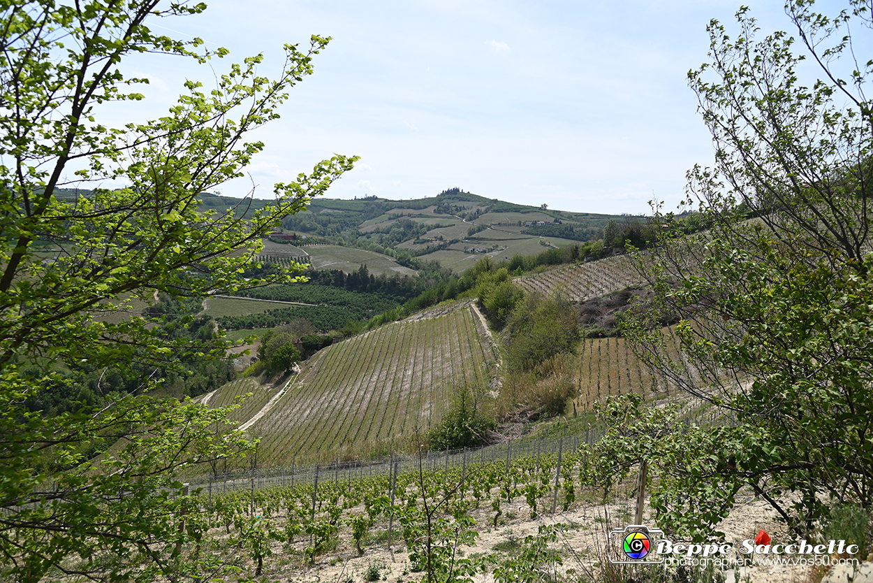VBS_3114 - Mango (Cuneo) - Gnomovia.jpg